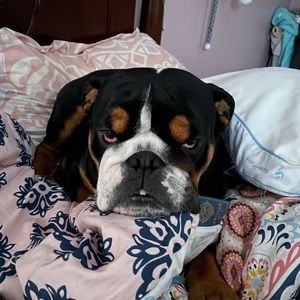 Meet your Posher, Macey